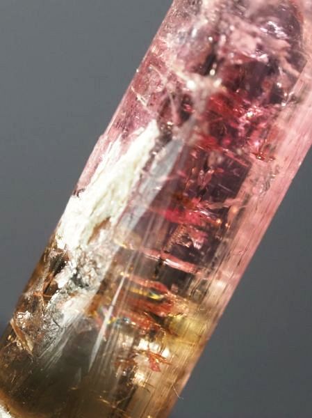 �s���N�g���}�����E�o�C�J���[ ���V�A/�`�^/�}���n���Y (721)