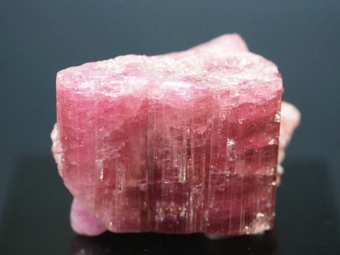 �s���N�g���}�����E�o�C�J���[ ���V�A/�`�^/�}���n���Y (722)