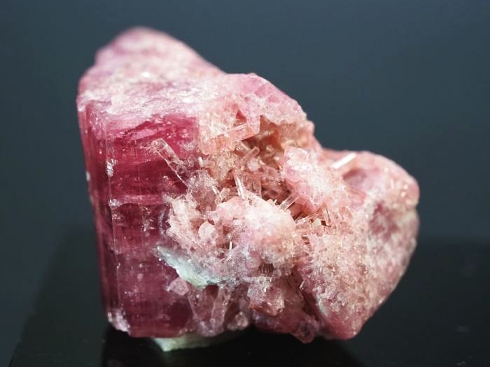 �s���N�g���}�����E�o�C�J���[ ���V�A/�`�^/�}���n���Y (722)