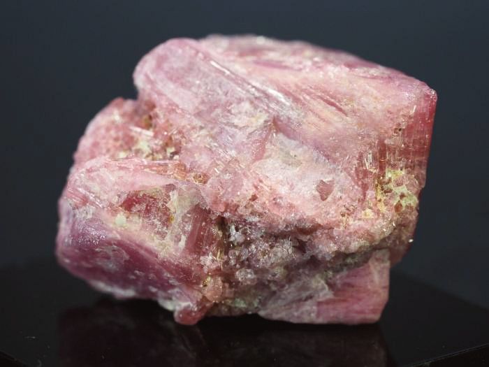 �s���N�g���}�����E�o�C�J���[ ���V�A/�`�^/�}���n���Y (722)