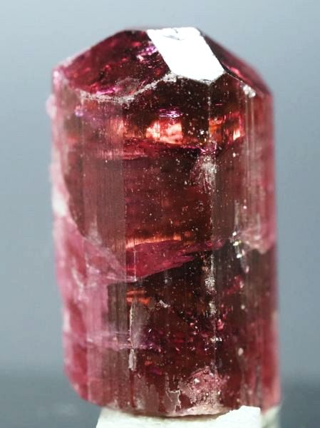 ���x���C�g(�g�d�C��) ���V�A/�`�^/�}���n���Y (723)