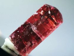 ���x���C�g(�g�d�C��)<br> ���V�A/�`�^/�}���n���Y (723)