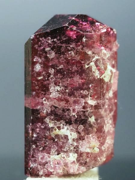 ���x���C�g(�g�d�C��) ���V�A/�`�^/�}���n���Y (723)