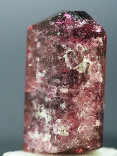 ���x���C�g(�g�d�C��) ���V�A/�`�^/�}���n���Y (723)