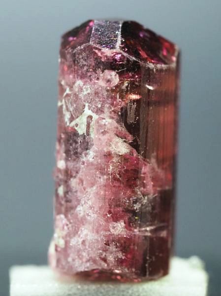 ���x���C�g(�g�d�C��) ���V�A/�`�^/�}���n���Y (723)