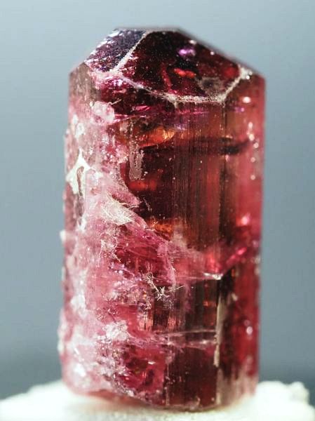 ���x���C�g(�g�d�C��) ���V�A/�`�^/�}���n���Y (723)