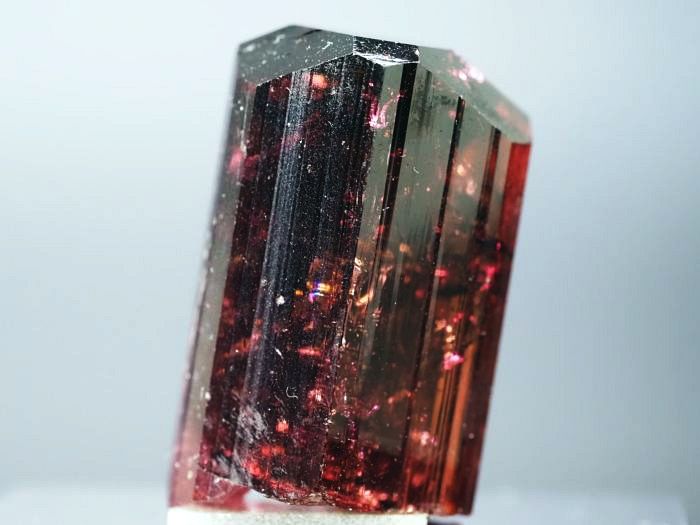 ���x���C�g(�g�d�C��) ���V�A/�`�^/�}���n���Y (725)