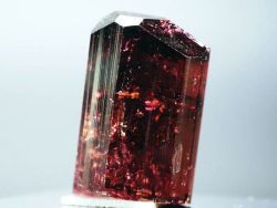 ���x���C�g(�g�d�C��)<br> ���V�A/�`�^/�}���n���Y (725)