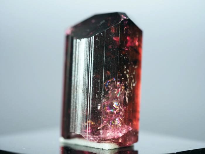 ���x���C�g(�g�d�C��) ���V�A/�`�^/�}���n���Y (725)