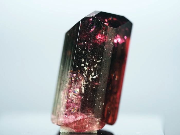 ���x���C�g(�g�d�C��) ���V�A/�`�^/�}���n���Y (725)