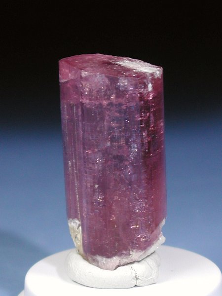 �s���N�g���}���� ���V�A/�`�^/�}���n���Y (RU726)