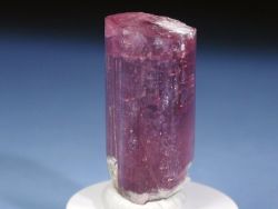 �s���N�g���}����<br> ���V�A/�`�^/�}���n���Y<br> (RU726)