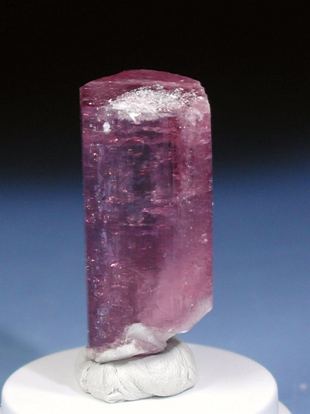 �s���N�g���}���� ���V�A/�`�^/�}���n���Y (RU726)