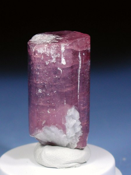 �s���N�g���}���� ���V�A/�`�^/�}���n���Y (RU726)