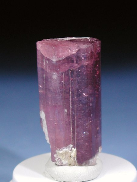 �s���N�g���}���� ���V�A/�`�^/�}���n���Y (RU726)