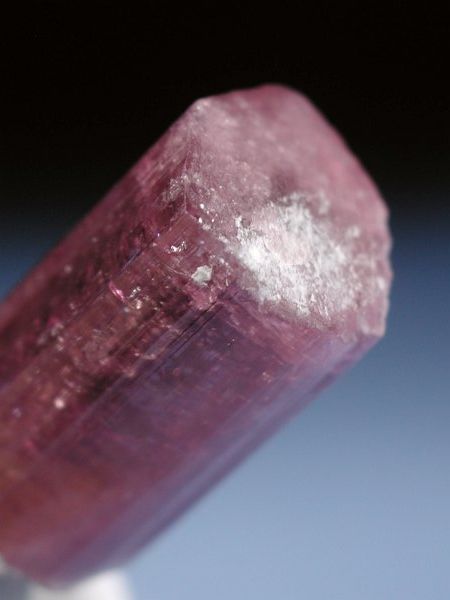 �s���N�g���}���� ���V�A/�`�^/�}���n���Y (RU726)