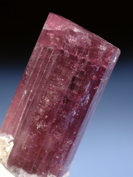 �s���N�g���}���� ���V�A/�`�^/�}���n���Y (RU726)