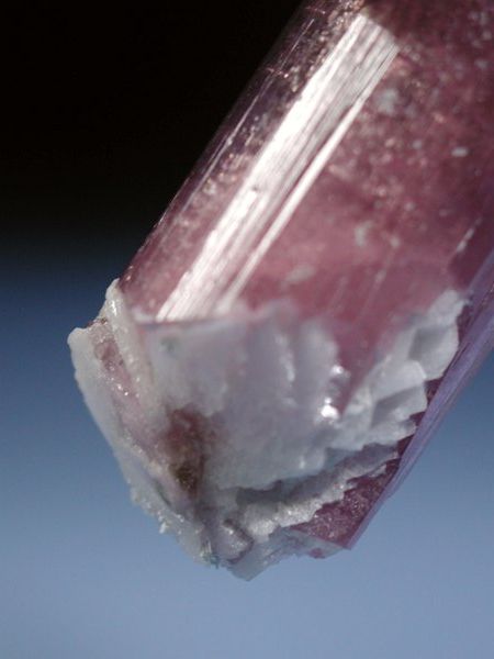 �s���N�g���}���� ���V�A/�`�^/�}���n���Y (RU726)