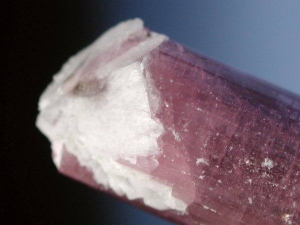 �s���N�g���}���� ���V�A/�`�^/�}���n���Y (RU726)