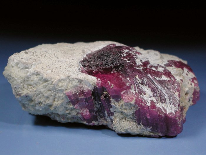 �g���}���� ���V�A/�O�o�C�J���Y (RU727)