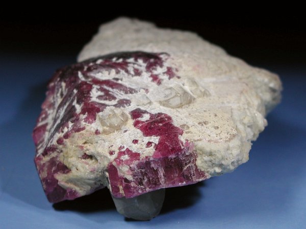 �g���}���� ���V�A/�O�o�C�J���Y (RU727)