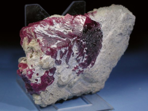 �g���}���� ���V�A/�O�o�C�J���Y (RU727)