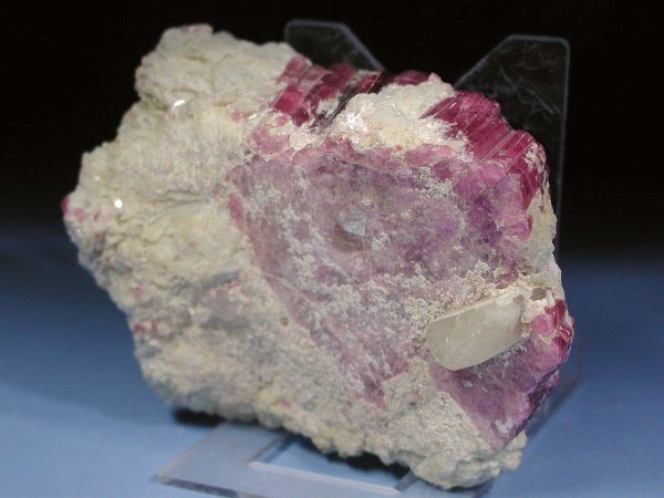 �g���}���� ���V�A/�O�o�C�J���Y (RU727)