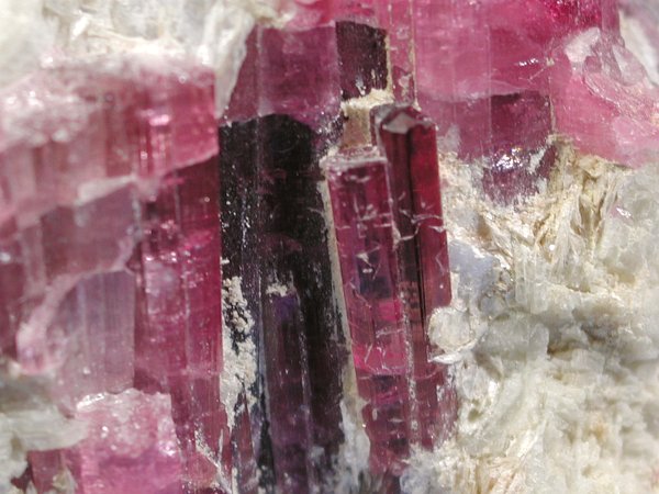 �g���}���� ���V�A/�O�o�C�J���Y (RU727)