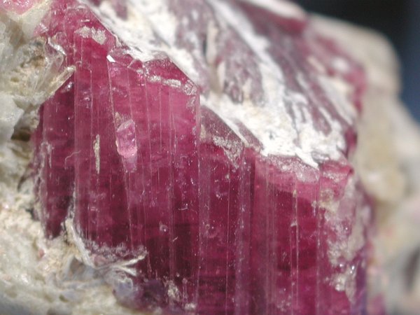 �g���}���� ���V�A/�O�o�C�J���Y (RU727)