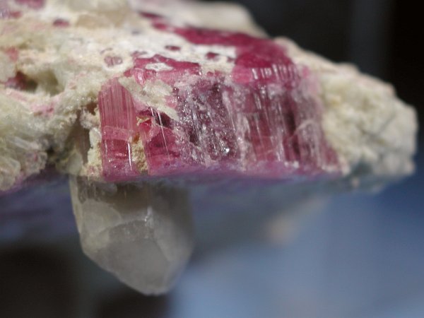 �g���}���� ���V�A/�O�o�C�J���Y (RU727)