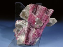 �s���N�g���}����<br> ���V�A/�`�^/�}���n���Y<br> (RU728)