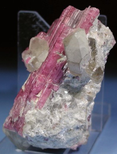 �s���N�g���}���� ���V�A/�`�^/�}���n���Y (RU728)