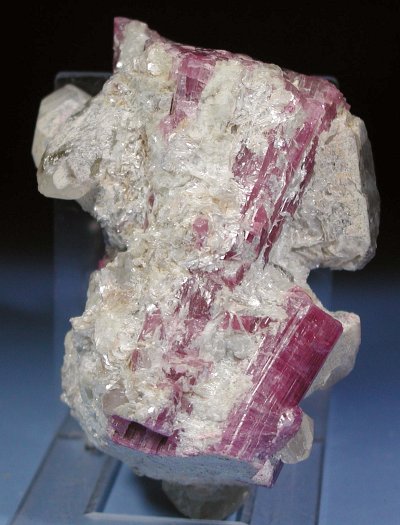 �s���N�g���}���� ���V�A/�`�^/�}���n���Y (RU728)