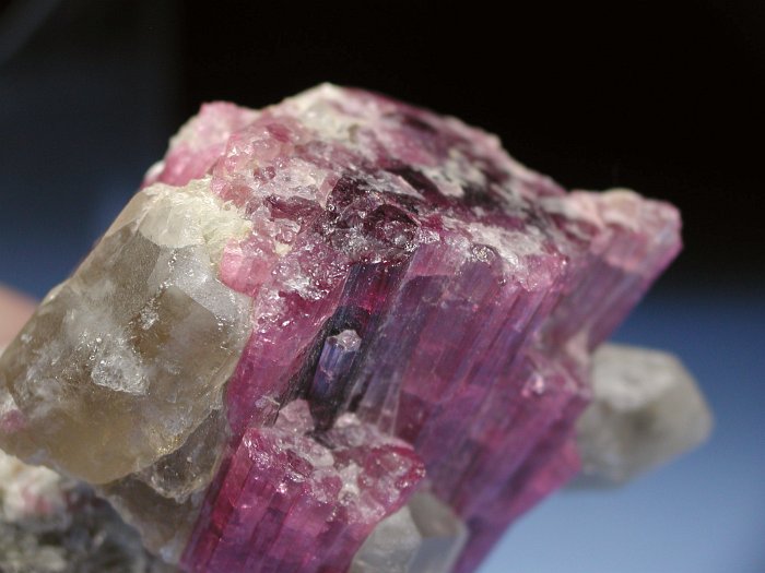 �s���N�g���}���� ���V�A/�`�^/�}���n���Y (RU728)