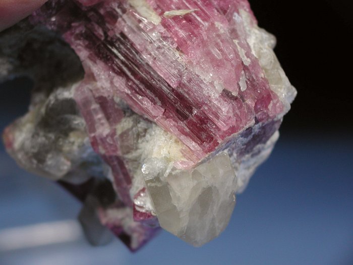 �s���N�g���}���� ���V�A/�`�^/�}���n���Y (RU728)