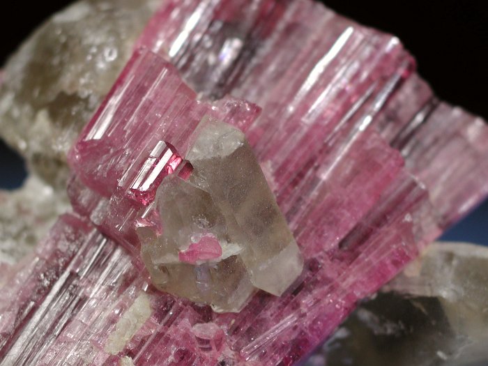 �s���N�g���}���� ���V�A/�`�^/�}���n���Y (RU728)