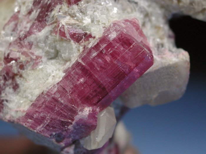 �s���N�g���}���� ���V�A/�`�^/�}���n���Y (RU728)