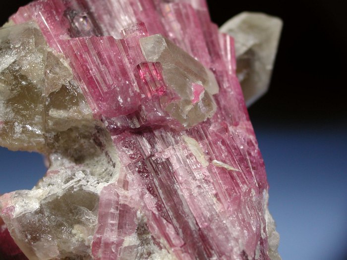 �s���N�g���}���� ���V�A/�`�^/�}���n���Y (RU728)