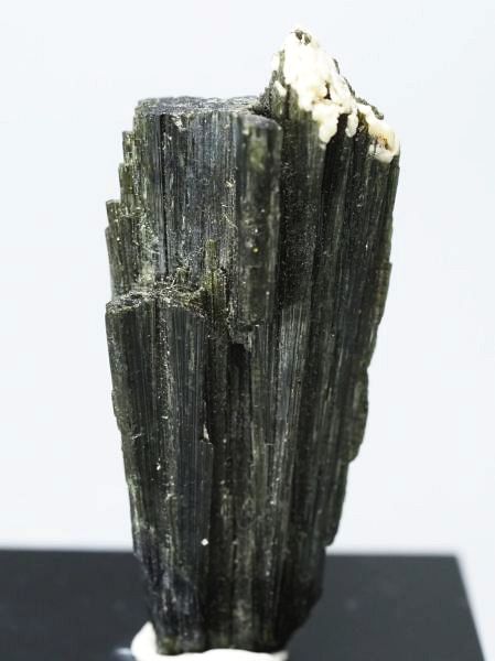 �Z�ΐF�g���}���� ���V�A/�E�����Y (730)