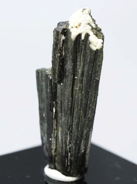 �Z�ΐF�g���}���� ���V�A/�E�����Y (730)