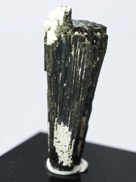 �Z�ΐF�g���}���� ���V�A/�E�����Y (730)