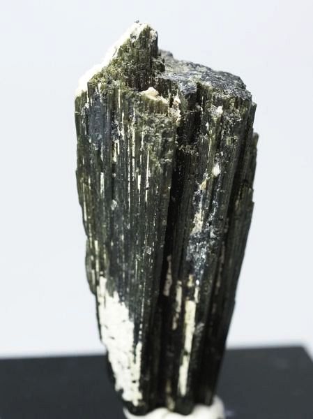 �Z�ΐF�g���}���� ���V�A/�E�����Y (730)