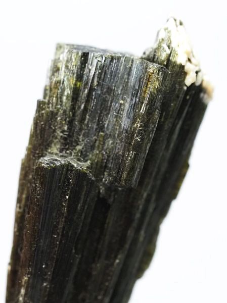 �Z�ΐF�g���}���� ���V�A/�E�����Y (730)