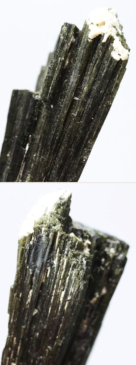 �Z�ΐF�g���}���� ���V�A/�E�����Y (730)