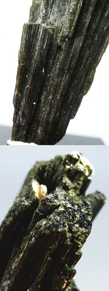 �Z�ΐF�g���}���� ���V�A/�E�����Y (730)