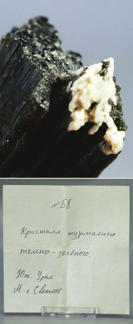 �Z�ΐF�g���}���� ���V�A/�E�����Y (730)