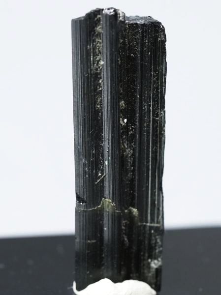 �Z�ΐF�g���}���� ���V�A/�E�����Y (731)