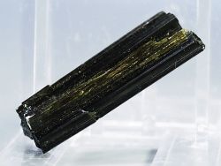 �Z�ΐF�g���}����<br> ���V�A/�E�����Y (731)