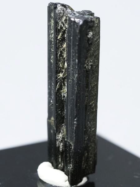 �Z�ΐF�g���}���� ���V�A/�E�����Y (731)