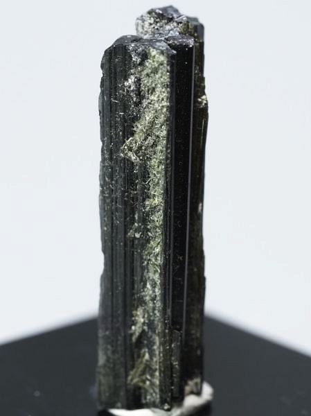 �Z�ΐF�g���}���� ���V�A/�E�����Y (731)